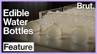 Say hello to edible water bottles