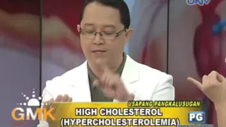 Hypercholesterolemia (High Cholesterol)