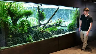 Private Tour of WORLD'S *BEST* Planted AQUARIUM!