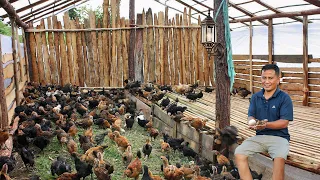 Cheapest Native Chicken Seller on the Street! Starting A Chicken Farm business!
