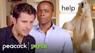 The bear in the office is innocent (shockingly) | Psych