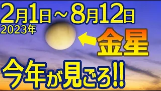 【2023 金星】3年ぶり高度が高い金星の動き・見え方(2023年前半 令和5年)