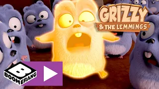 Grizzy en de Lemmings | Gekrompen | Cartoonito