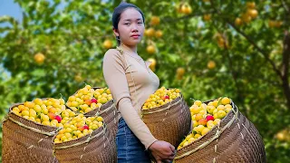 Harvest and sell plums at the market