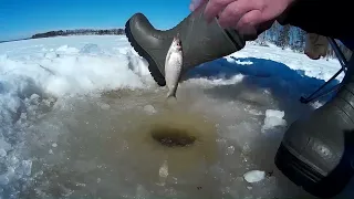 Весенняя рыбалка на мормышку. Плотва.