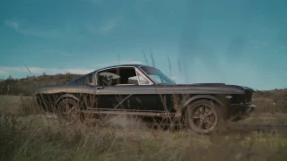 Loyalty of a Mustang - 1966 Mustang GT Fastback