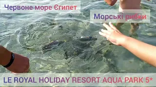 #Червонеморе#Єгипет#LE ROYAL HOLIDAY RESORT AQUA PARK 5* #Морськірибки#ШармЕльШейх#Кораловийпляж🏝️🌅