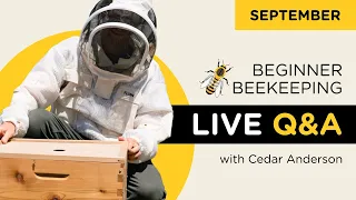 Beginner beekeeper Q&A