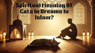 Spiritual Meaning Of Cats In Dreams In Islam a cat in dream Islamic interpretation video.