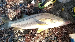 Surf casting for Snook ft. Kemjay fishing.. 🇯🇲