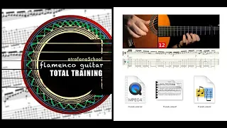 Flamenco Guitar - Total Training