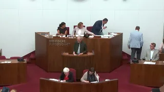 Anfrage "Schlaglochpiste Bürgermeister-Spitta-Allee" Piet Leidreiter (Bündnis Deutschland) 28.05.24