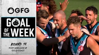 Goal of the Week: Round 14