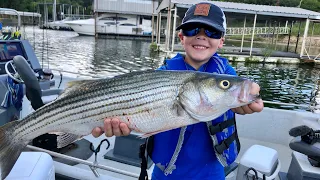 Striped Bass Catch, Clean, and Cook!