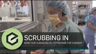 Scrubbing in: How Veterinary Surgeons Scrub In For Each Surgery