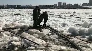 Пограничники спасли со льда Амура плачущую иностранку