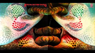 Heartfeeder - String Driven Thing (Prog Rock, Scotland 1973)