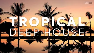 Avicii, Dua Lipa, Coldplay, Kygo, Martin Garrix & The Chainsmokers Style - Tropical Summer Records