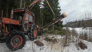 Zetor crystal 8045 hauling spruce logs