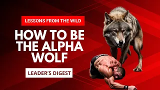 Leadership Lessons from the Wild: Insights from the Wolf Pack  | Leader's Digest #wolfpack