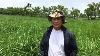 Ganaderia en Honduras