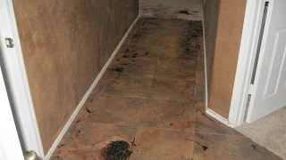 Jodi Arias Blood Spatter expert