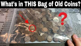 What's in This Bag of Old Coins - Indian Pennies, Buffalo Nickels + MORE