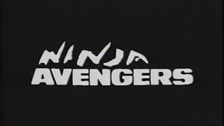 Ninja Avengers