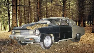 Abandoned Chevrolet Nova Restoration project (1967)