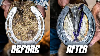 Satisfying Horse Hoof Restoration | 4K ASMR