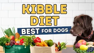 Is it Safe to Feed Your Dog Human Food? 10 Cheap Ways To Improve Their Kibble Diet