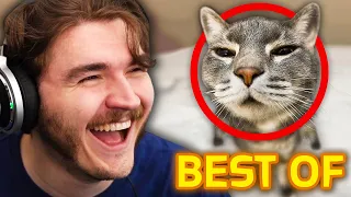 Best of Schlatt Ranking Your TikToks