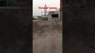 Voice of peace