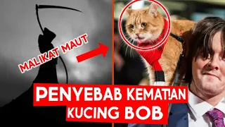 Penyebab kucing bob mati | pemilik berkata dia adalah sahabatku