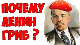 В 4 утра / Почему Ленин гриб?