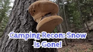 Camping Recon:  Snow Is Gone!!! [Day 4921 - 04.21.24]
