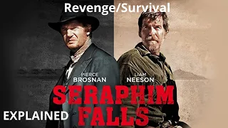 Seraphim Falls (2006) Explained In Hindi |Revenge/Survival | Liam Neeson | AVI MOVIE DIARIES