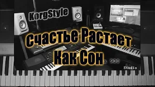 KorgStyle -Счастье Растает Как Сон (Korg Pa 900) DiscoVersion