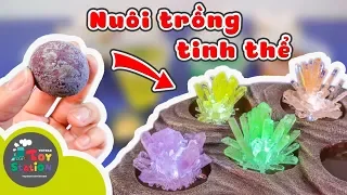 Lần đầu nuôi trồng Tinh Thể, bộ Kit Mega Crystal Growing từ National Geographic ToyStation 245