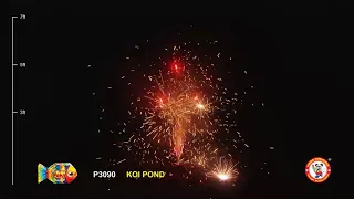P3090--KOI POND