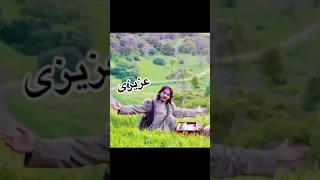 Sharafat parwani  آهنگ جدید شرافت پروانی (دندان طلایی) 23 April 2024