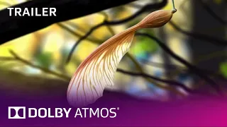Dolby Atmos   Leaf    Trailer   Dolby