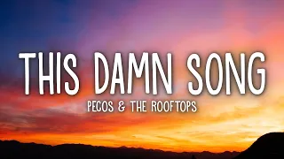 Pecos & The Rooftops - This Damn Song (Lyrics)