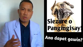 SIEZURE O NANGISAY NA ASO | Bakit At Ano Dapat Gawin?| Dog Epilepsy