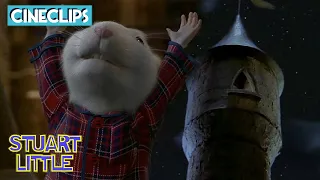 "I'm Stuart Little!"  | Stuart Little | CineClips