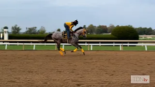 West Saratoga takes trainer on his first road to the Kentucky Derby