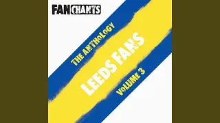 We All Love Leeds And Leeds...