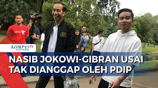 PDIP Tegaskan Jokowi & Gibran Bukan Lagi Kader, ke Mana Arah Parpol Keluarga Jokowi?