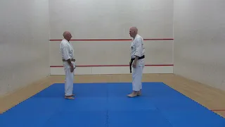 Wado Ryu Kumite Gata No 6