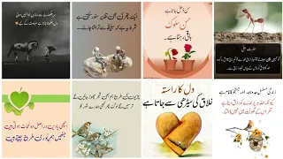 Best Islamic Urdu Quotes|True line Urdu poetry|Islamic quotes|Urdu poetry